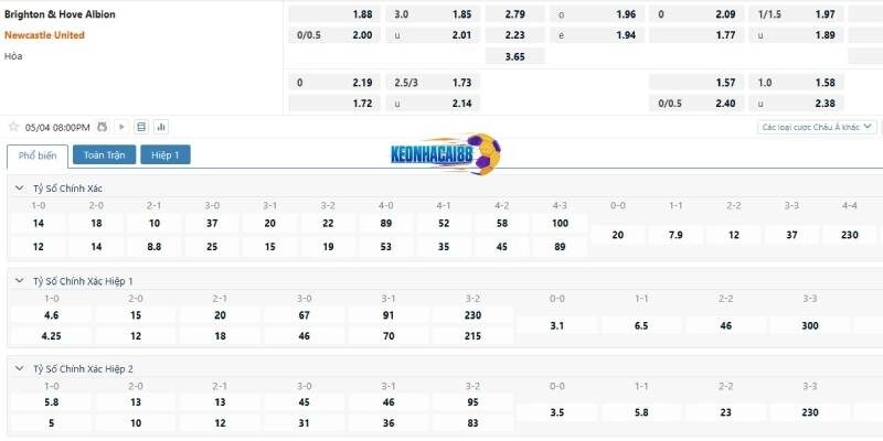 Tỷ lệ cá cược trận Brighton vs Newcastle